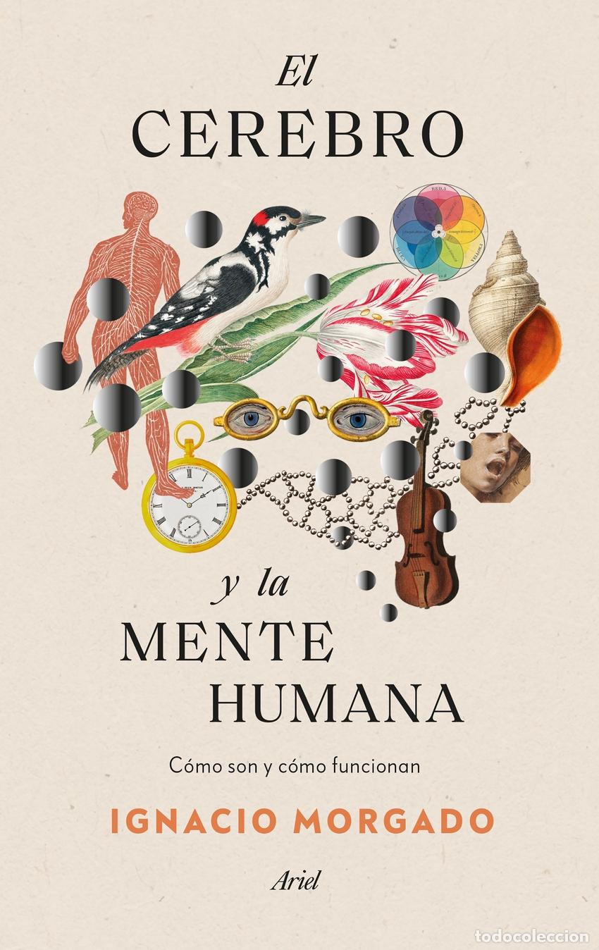 Livres: El cerebro y la mente humana - Morgado, Ignacio