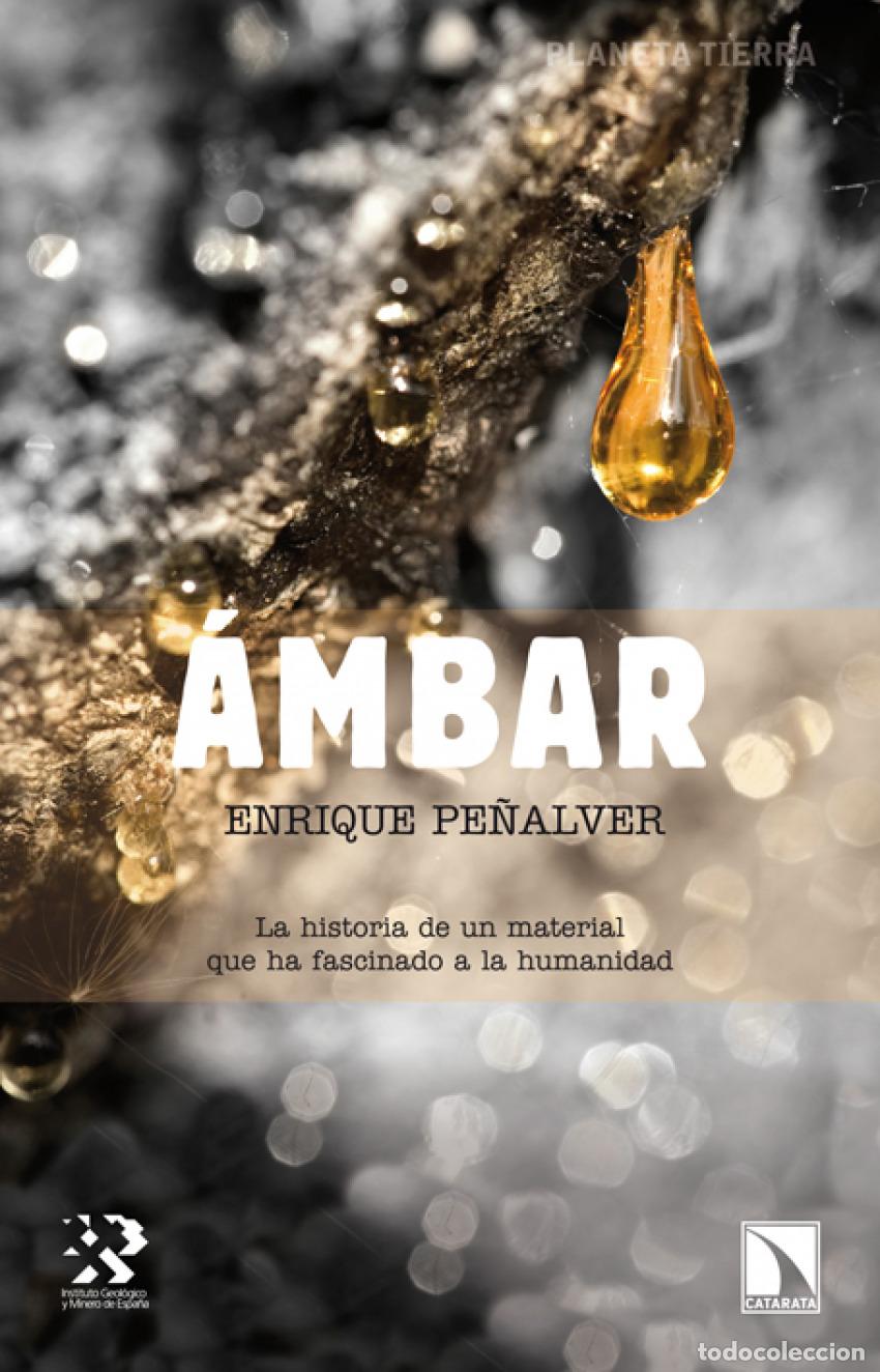 books: &Aacute;mbar - Pe&ntilde;alver, Enrique