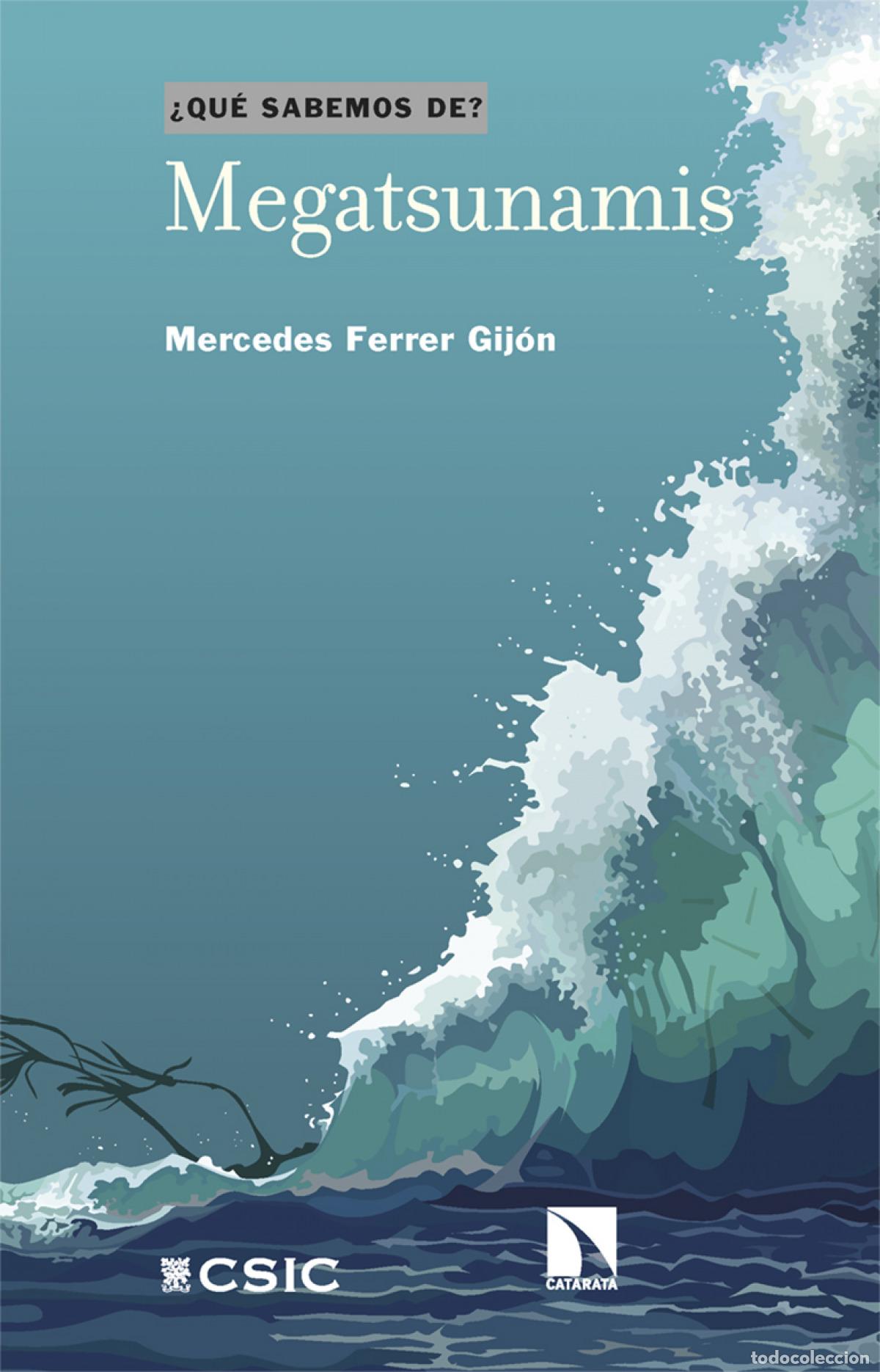 Libros: Megatsunamis - Ferrer Gij&oacute;n, Mercedes