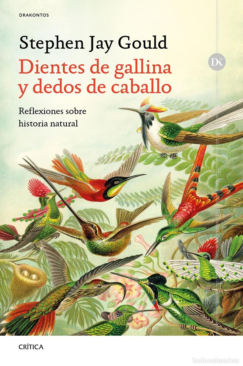 Libros: Dientes de gallina y dedos de caballo - Gould, Stephen Jay - Foto 1