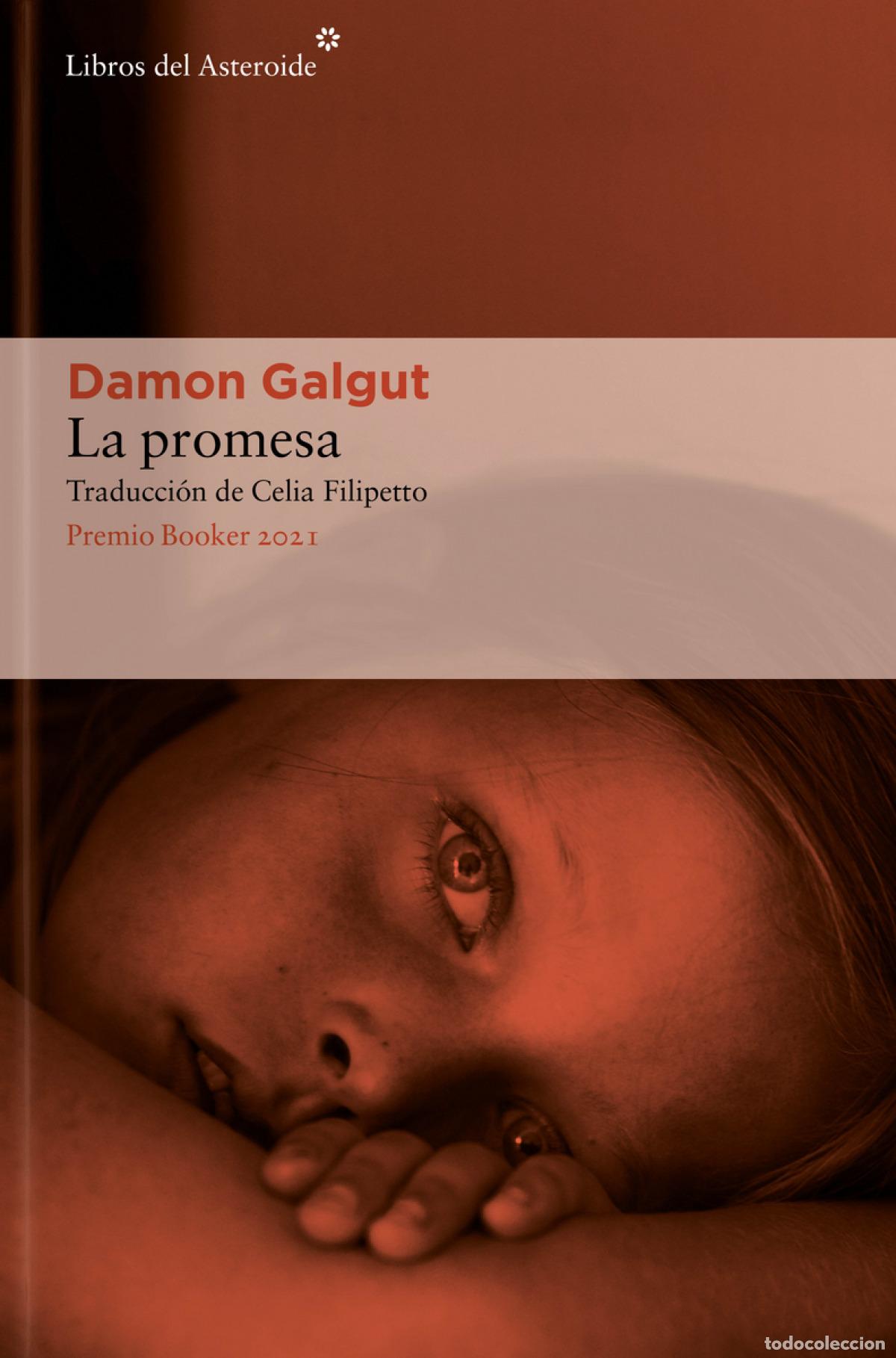 books: La promesa - Galgut, Damon