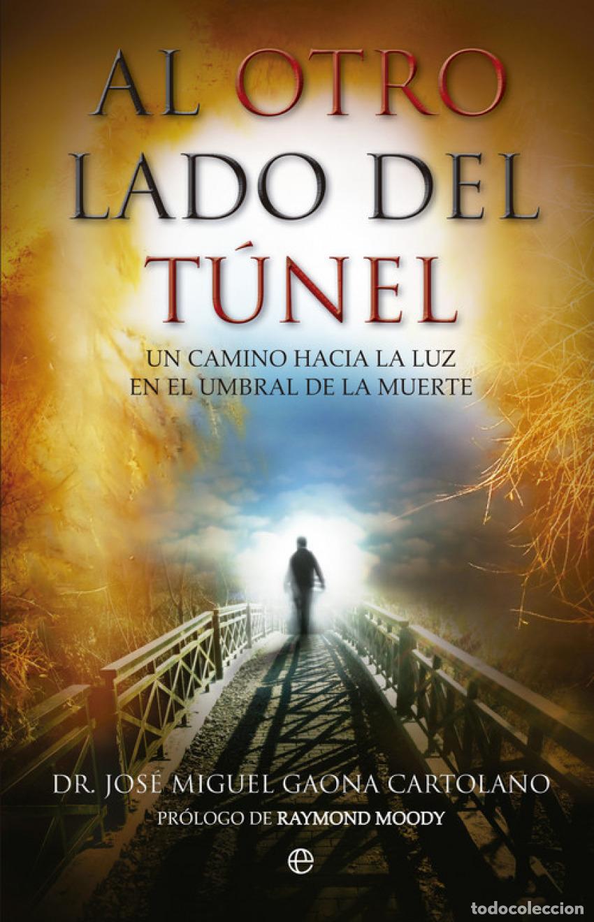 B&uuml;cher: Al otro lado del t&uacute;nel - Gaona, Jos&eacute; Miguel