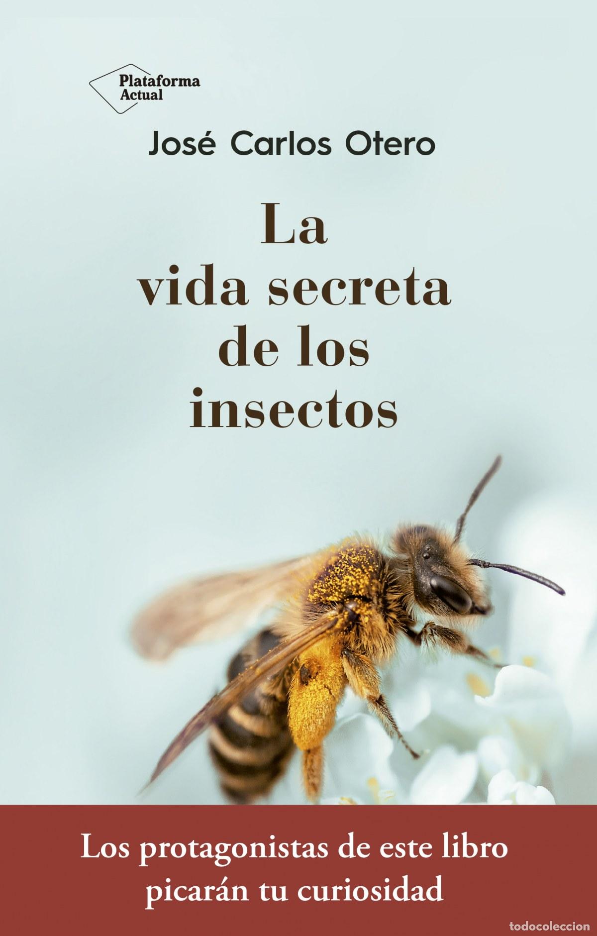 Libri di seconda mano: LA VIDA SECRETA DE LOS INSECTOS - Otero, Jos&eacute; Carlos