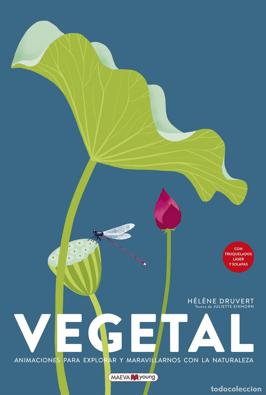Libros: Vegetal - Druvert, H&eacute;l&egrave;ne - Foto 1