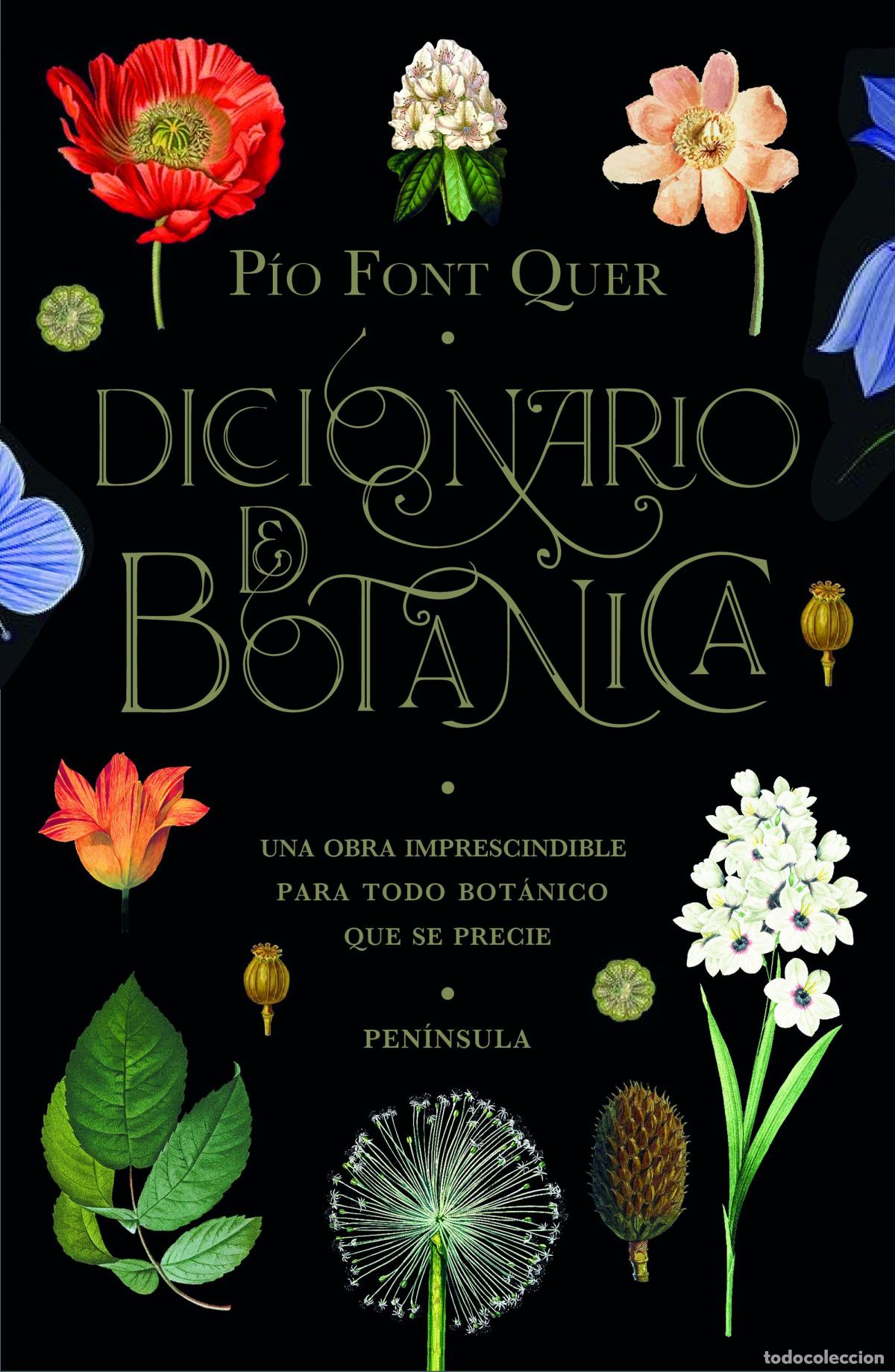Libros: Diccionario de bot&aacute;nica - Font Quer, P&iacute;o - Foto 1