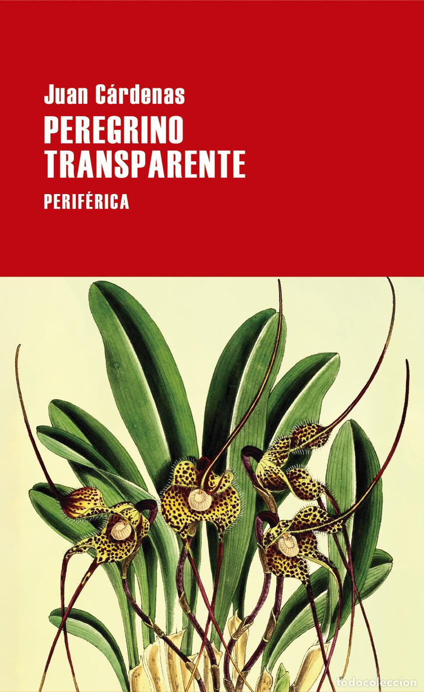 Libros: Peregrino transparente - C&aacute;rdenas, Juan - Foto 1
