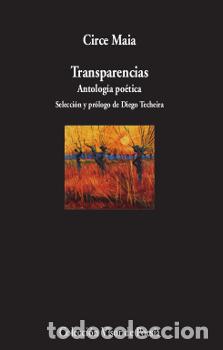 Libros: TRANSPARENCIAS - Maia, Circe - Foto 1