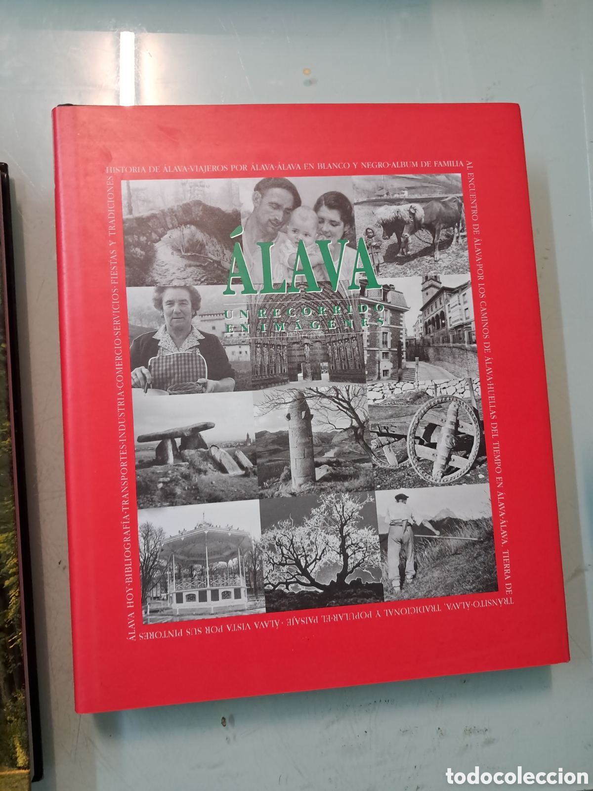 Libros: Alav un recorrido en im&aacute;genes, Vital