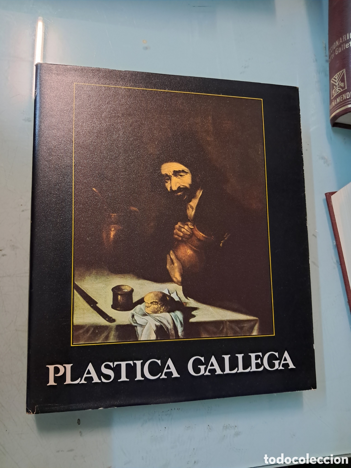 Libros: Manuel Colmeiro, Pl&aacute;stico gallega, CAB