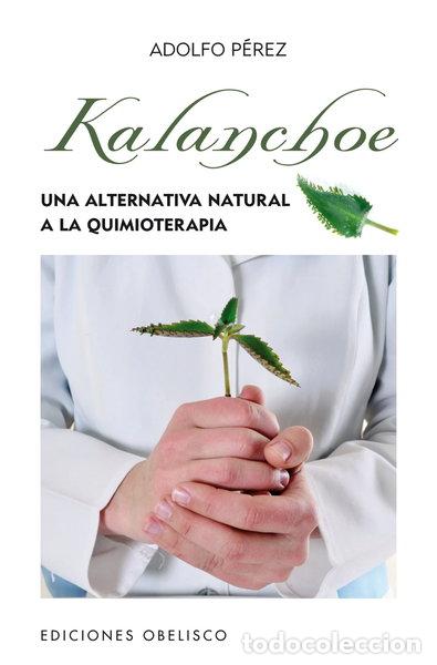 Libros: Kalanchoe- 9788497778862