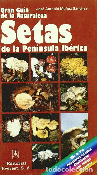 B&uuml;cher: Setas de la Pen&iacute;nsula Ib&eacute;rica- 9788424126896