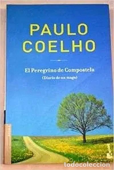 Libros: El Peregrino de Compostela- 9788408048725