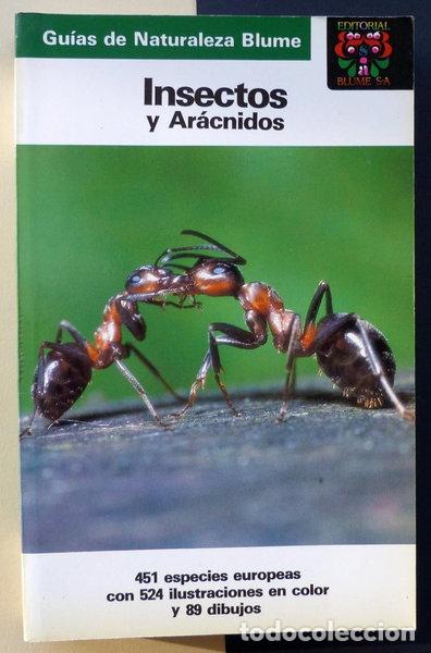 B&uuml;cher: Insectos y ar&aacute;cnidos- 9788470315602