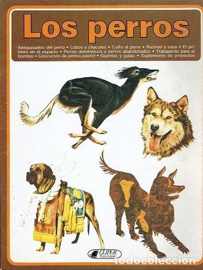 Libri di seconda mano: Los perros- 9788401700750