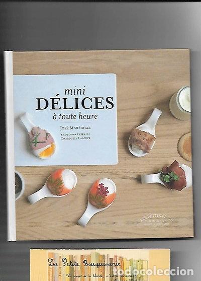 Livres: Mini d&eacute;lices &agrave; toute heure- 2000004272524