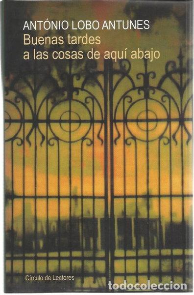Libros: Buenas tardes a las cosas de aqu&iacute; abajo- 9788467205930