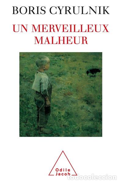 B&uuml;cher: Un merveilleux malheur- 9782738106810