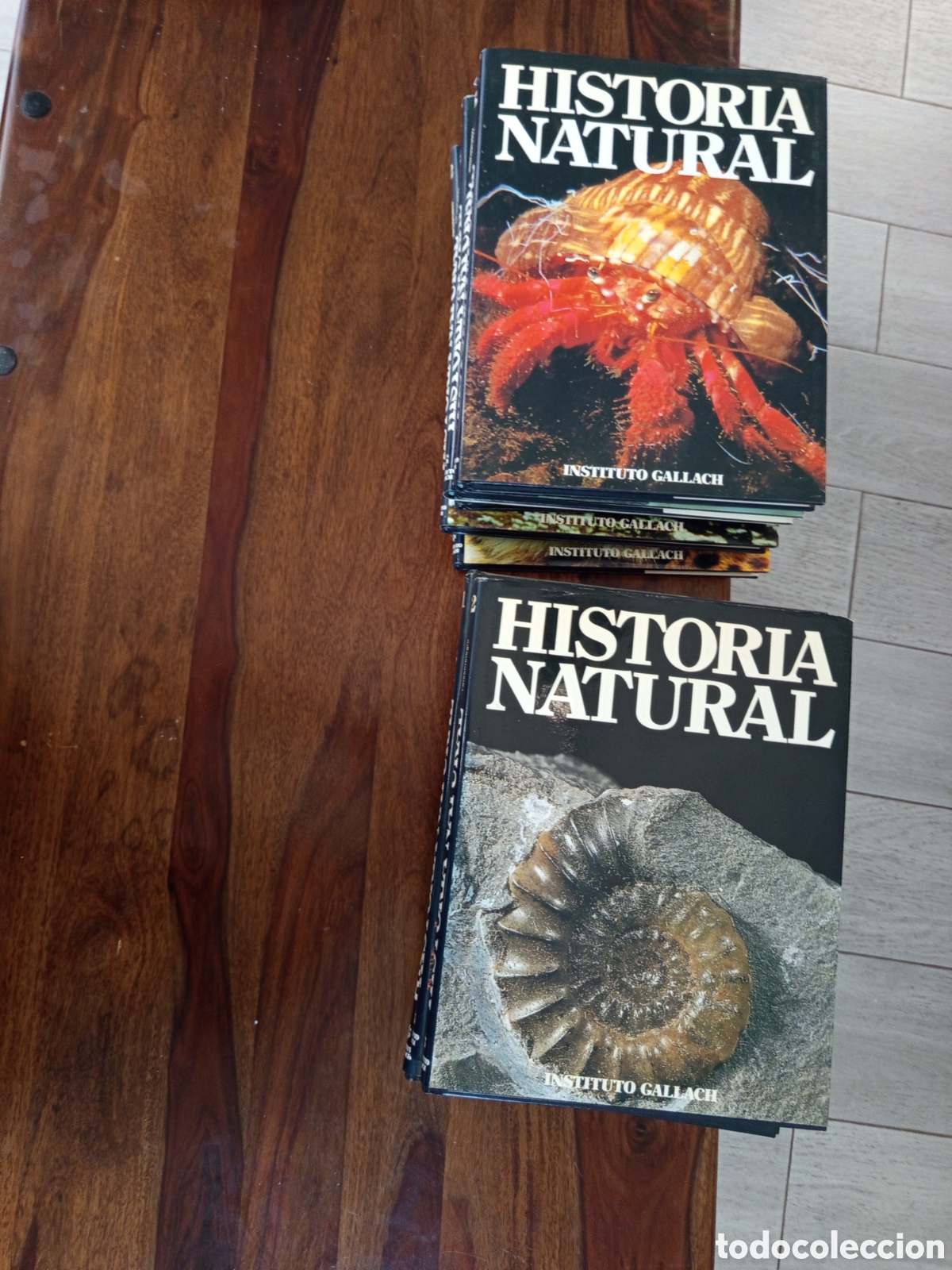 Libros: Historia natural 12 tomos instituto gallach - Foto 2