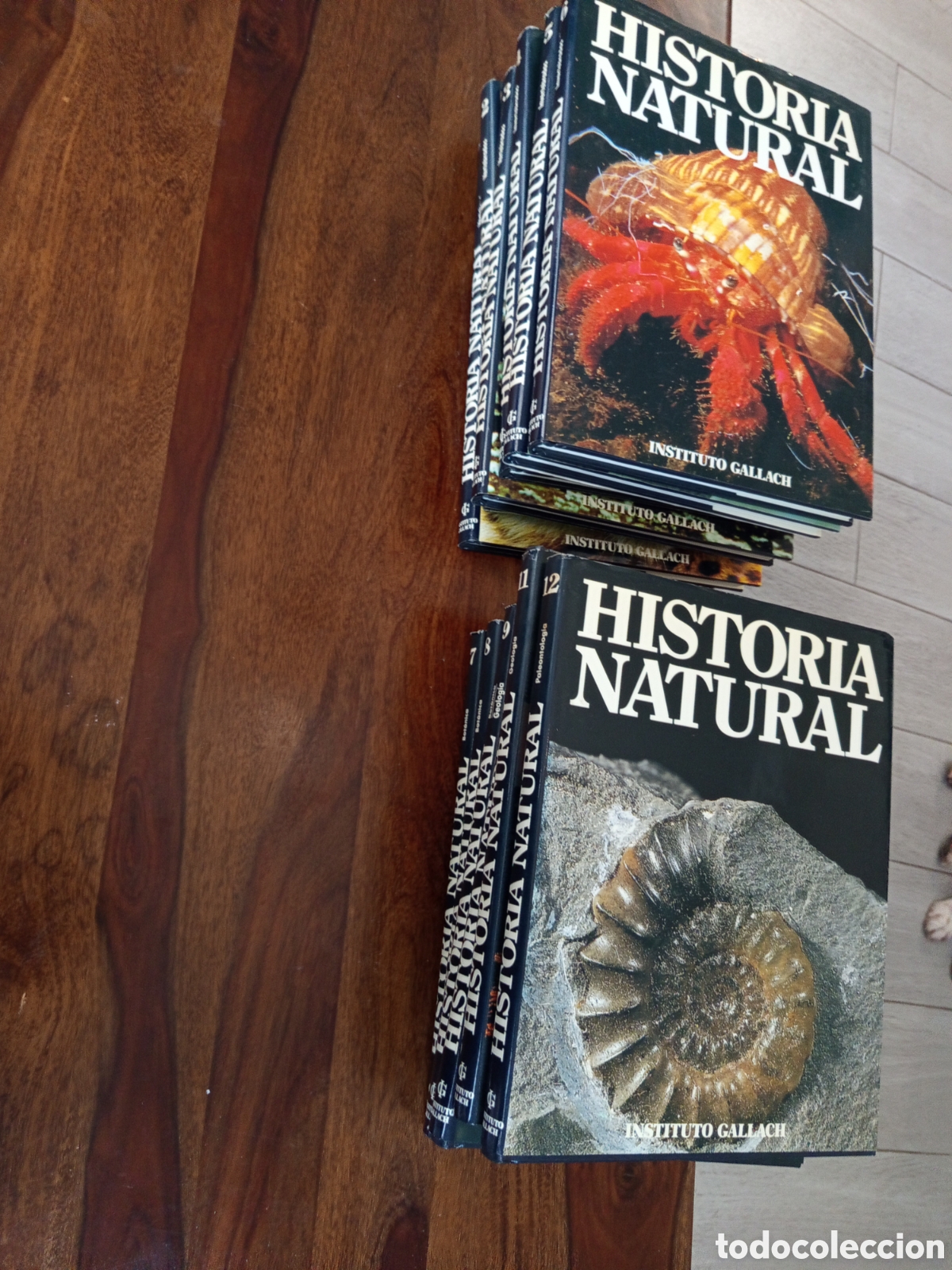 Libros: Historia natural 12 tomos instituto gallach - Foto 1