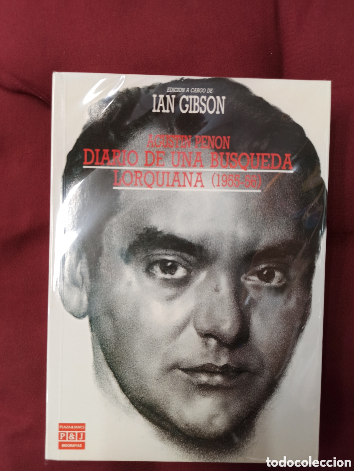 Libros: Agust&iacute;n Penon Diario de una b&uacute;squeda Lorquiana (1955-56)