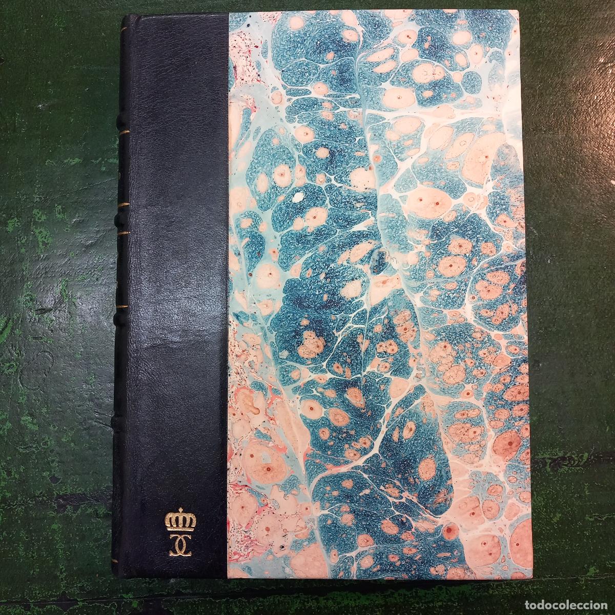 books: TIEMPO DE DOLOR - VIVANCO, LUIS FELIPE