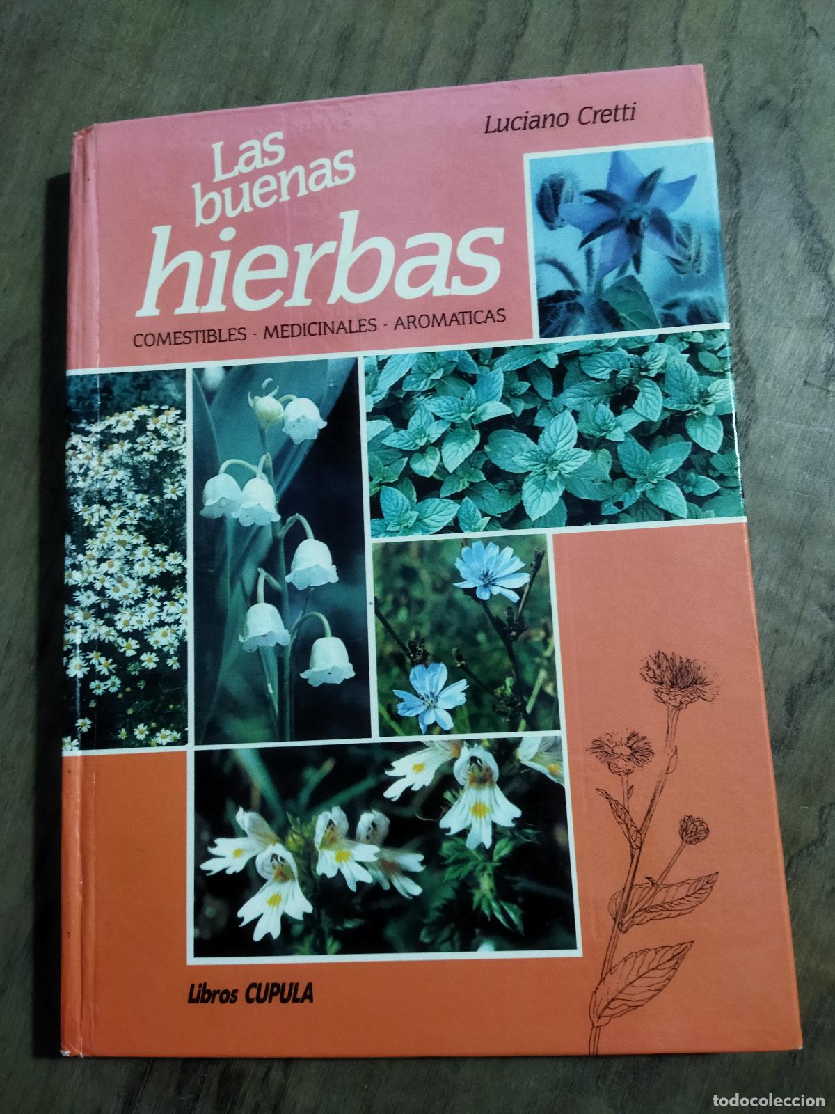 Livros em segunda m&atilde;o: LAS BUENAS HIERBAS - CRETTI, LUCIANO