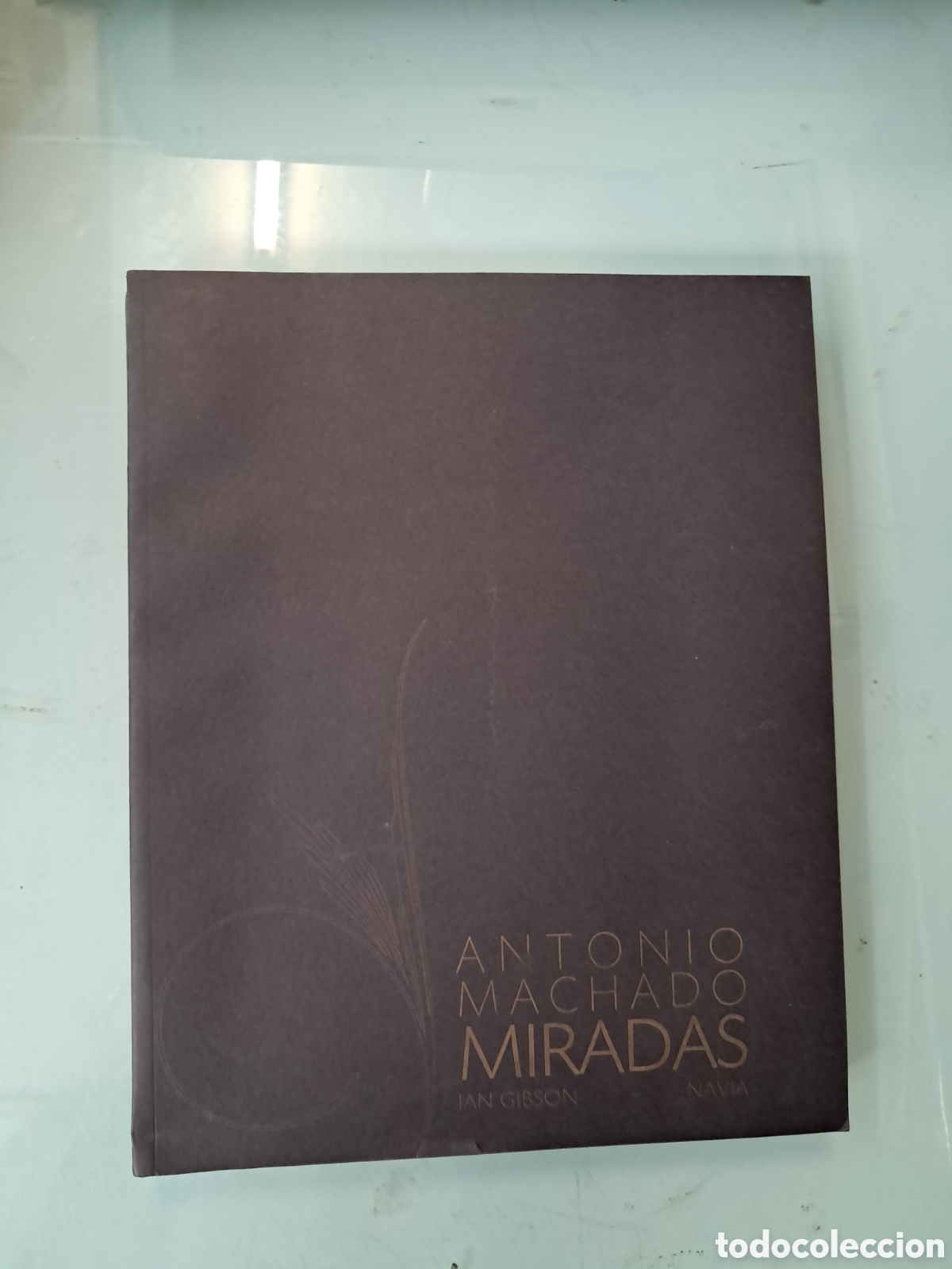 Libros: Antonio Machado, Miradas, Ian Gibson, Navia, Caja Duero