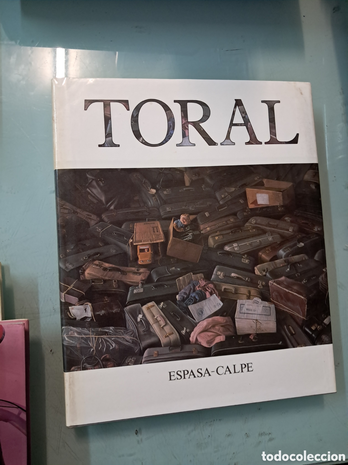 Libros: Castillo Puche Crist&oacute;bal Toral,Espasa Calpe,1987