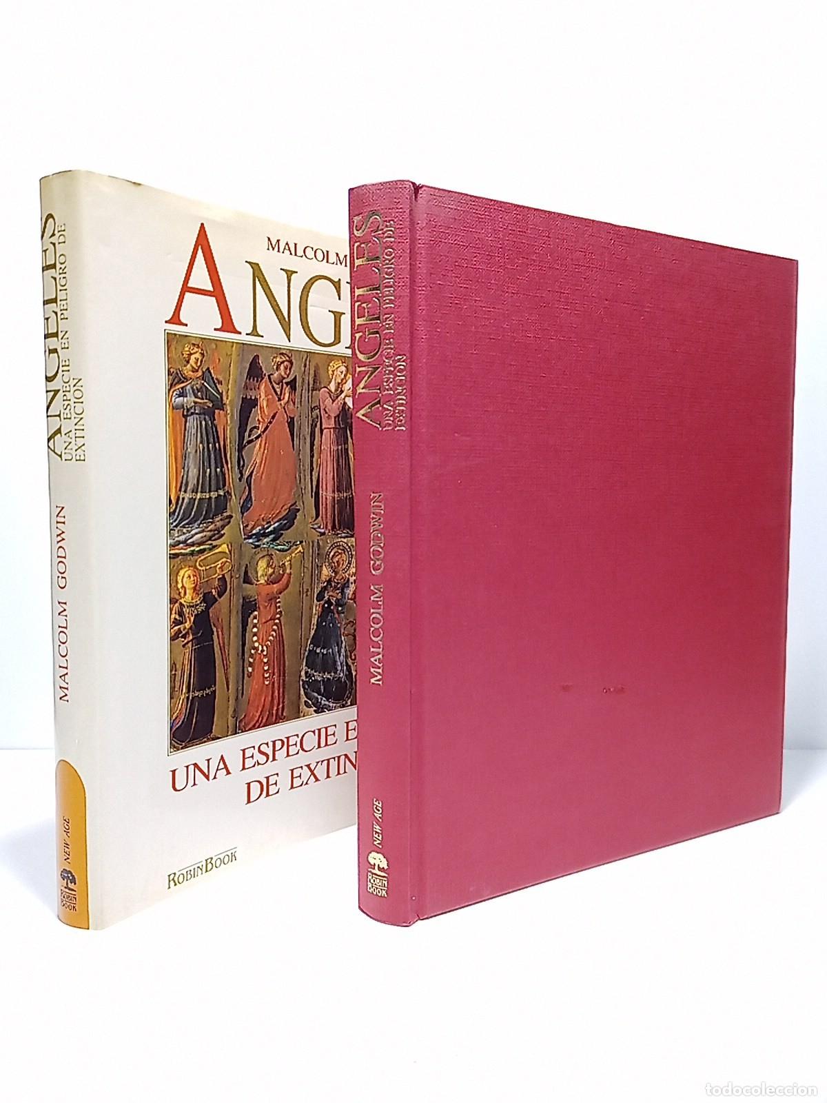 B&uuml;cher: GODWIN, Malcom - Angeles: Una especie en peligro de extinci&oacute;n / Traducci&oacute;n de Carme Geron&egrave;s y Carle