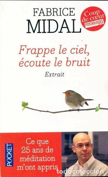 Libros: Frappe le ciel, &eacute;coute le bruit- 9782266260329