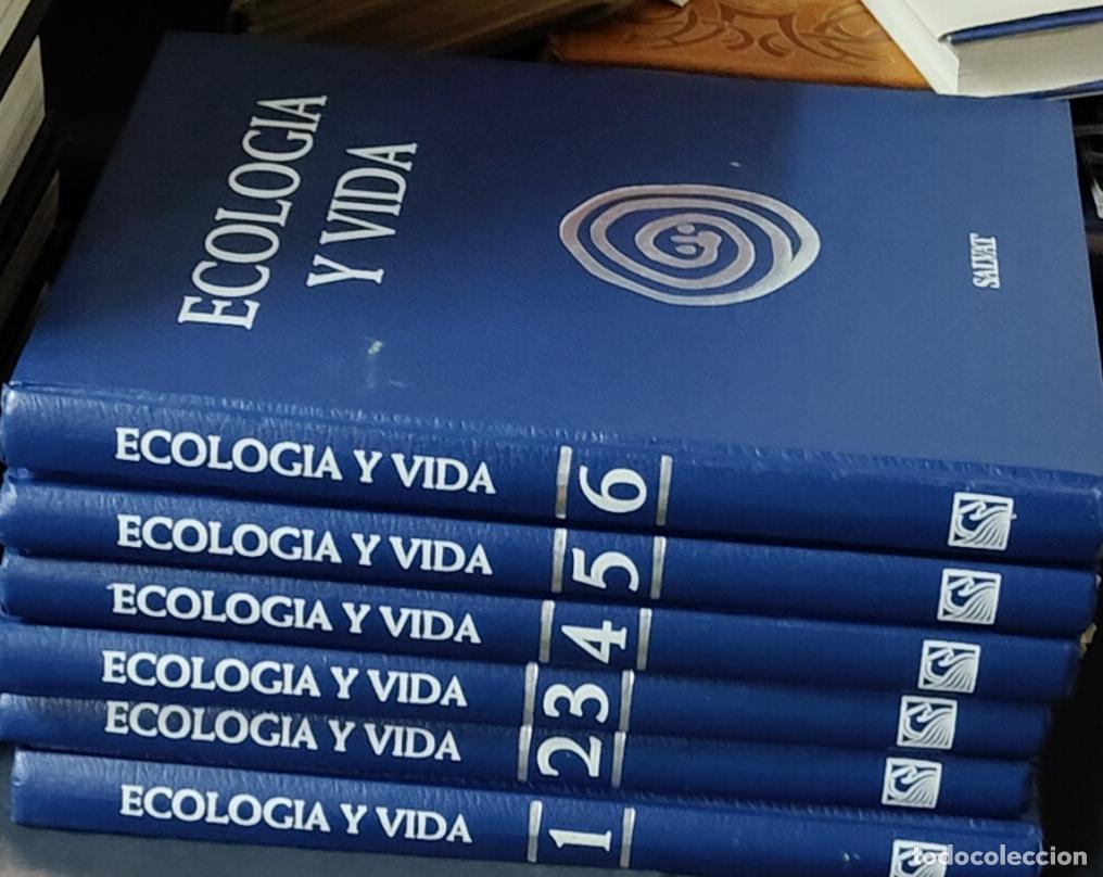 Libros: Ecolog&iacute;a y Vida - Salvat - 6 tomos - tdkpn -