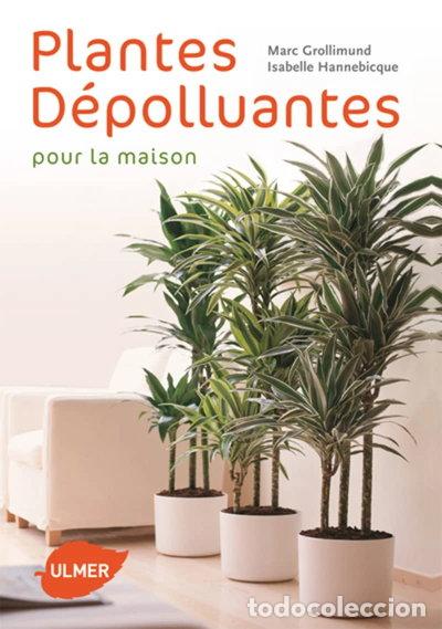 Livres: Plantes d&eacute;polluantes pour la maison- 9782841383290