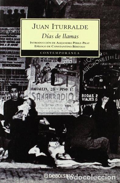 books: D&iacute;as de llamas- 9788483462003