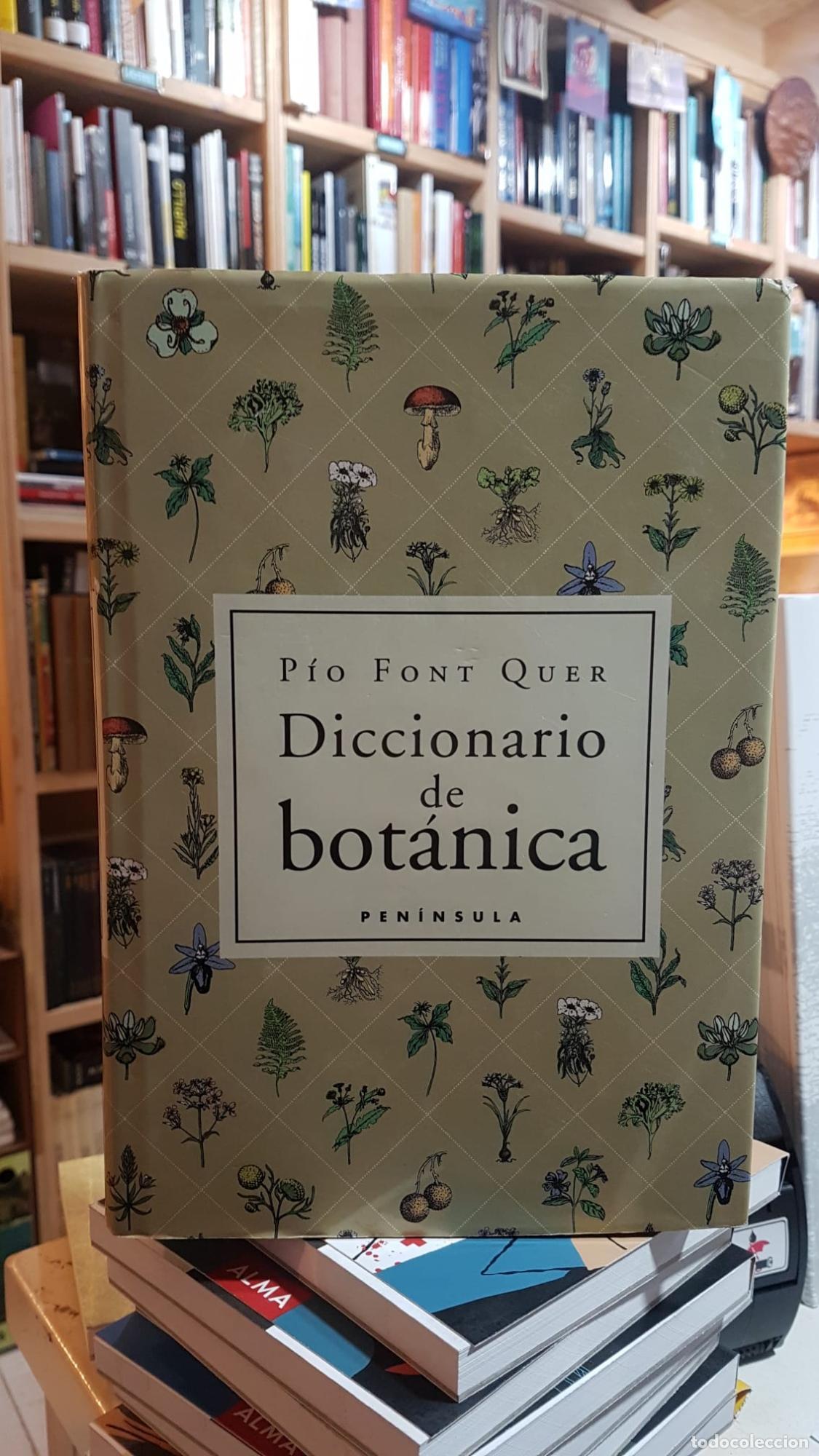 Libros: Diccionario de bot&aacute;nica - P&Iacute;O FONT QUER