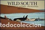 Libros: WILD SOUTH (Spanish Edition) - PABLO / FILLOY, EDGARDO CERSO - PABLO / FILLOY, EDGARDO CERSOSIMO