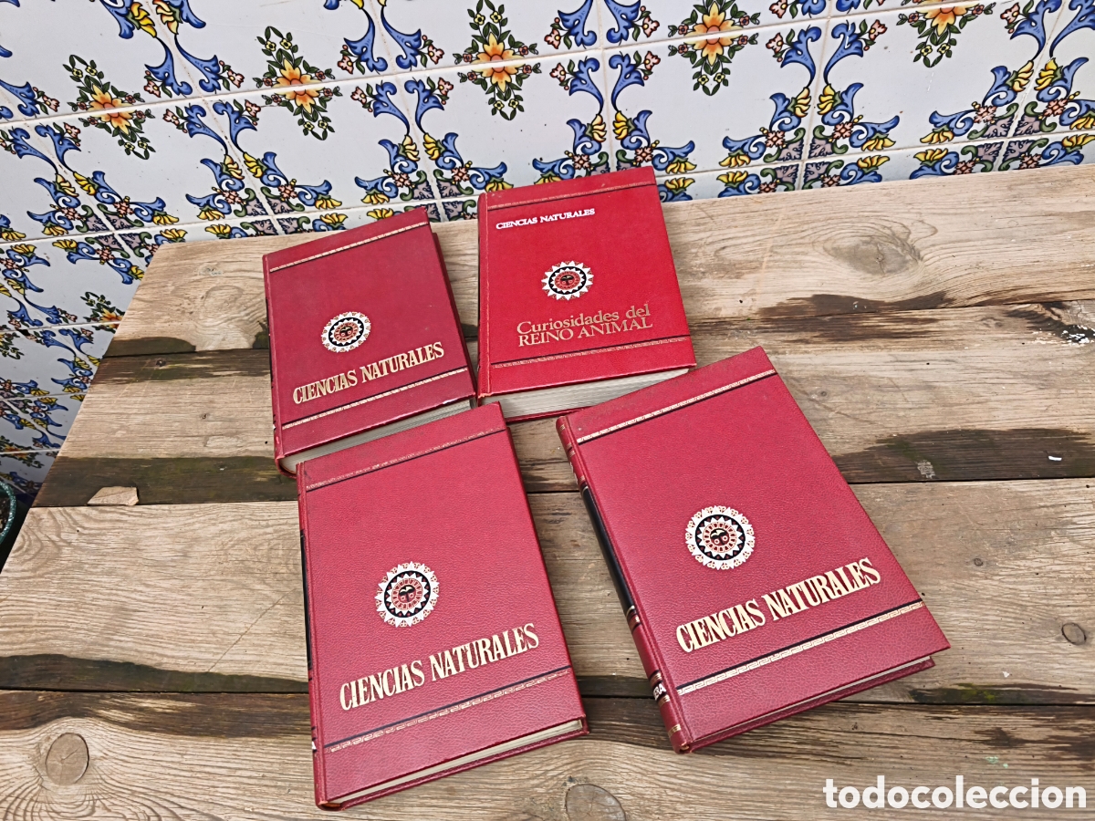 Libros: Ciencias naturales 4 tomos bruguera - Foto 2