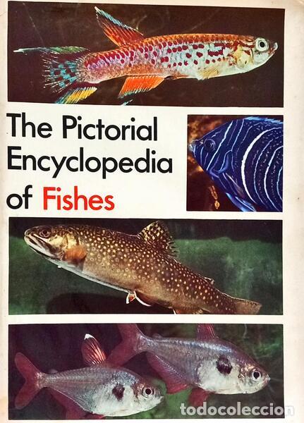 Libros: FRANK. (Stanislav) - THE PICTORIAL ENCYCLOPEDIA OF FISHES.