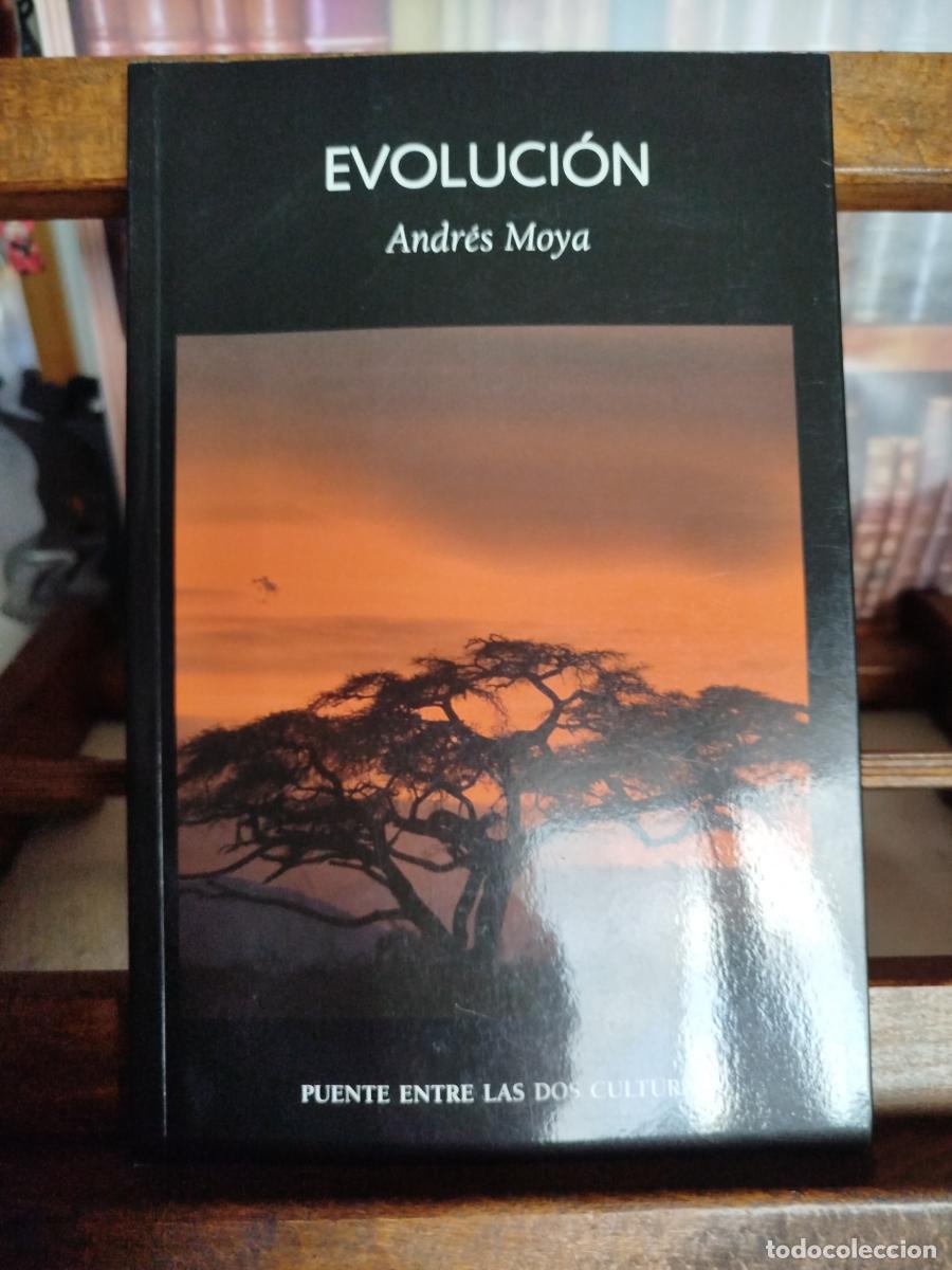 Livros em segunda m&atilde;o: Evoluci&oacute;n: puente entre las dos culturas - Moya, Andres