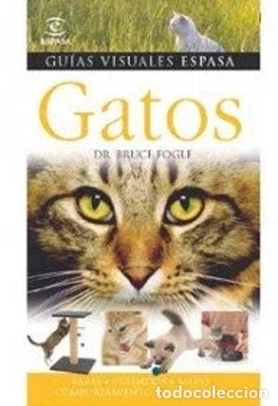 Libros: Gatos- 9788467030037