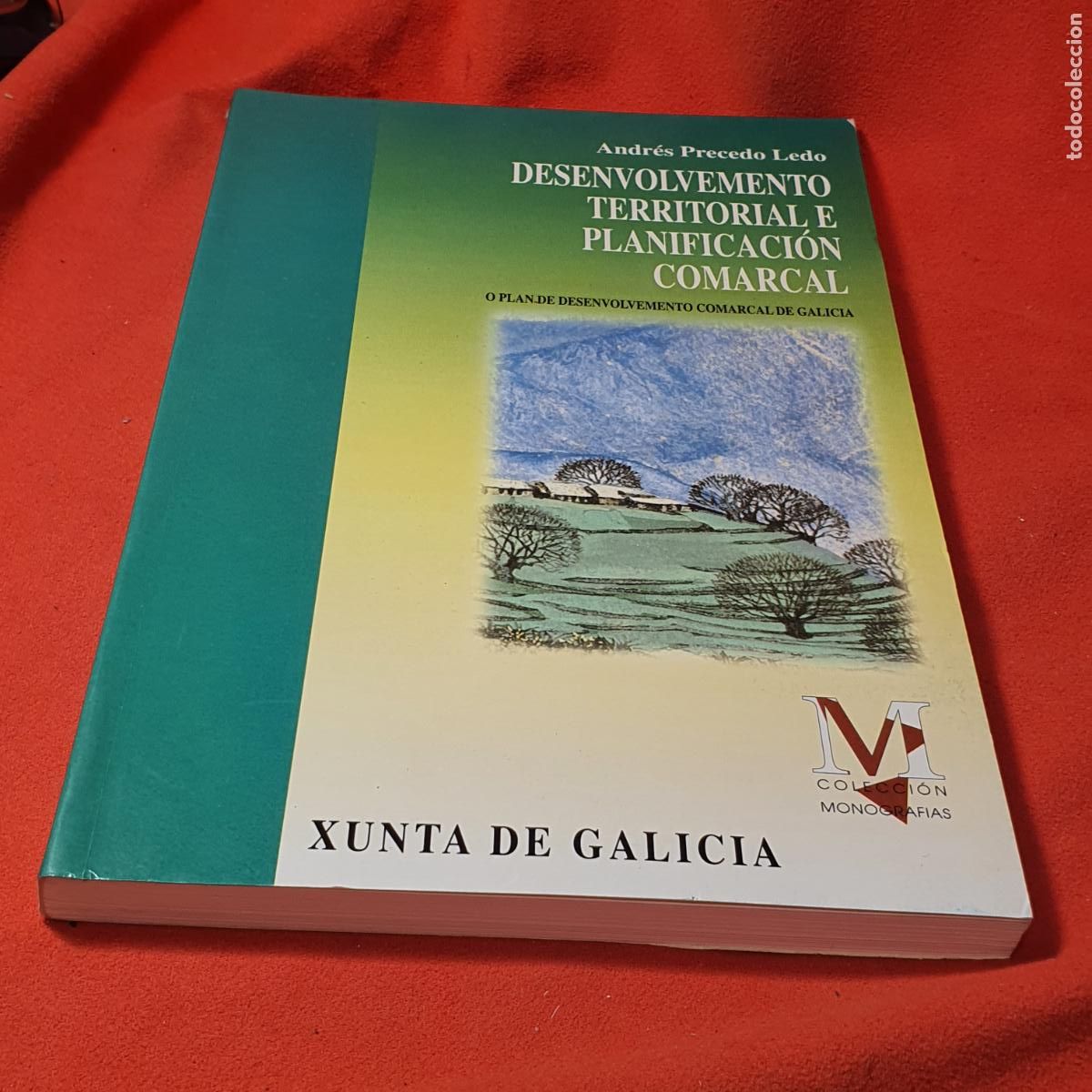 Libros: DESENVOLVEMENTO TERRITORIAL E PLANIFICACI&Oacute;N COMARCAL-ANDR&Eacute;S PRECEDO LEDO-1994 - Foto 1
