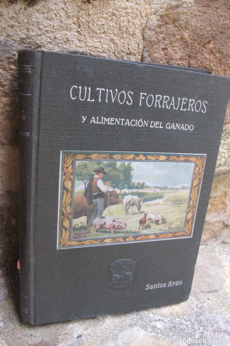 Libros: CULTIVOS FORRAJEROS Y ALIMENTACION DEL GANADO. SANTOS ARAN