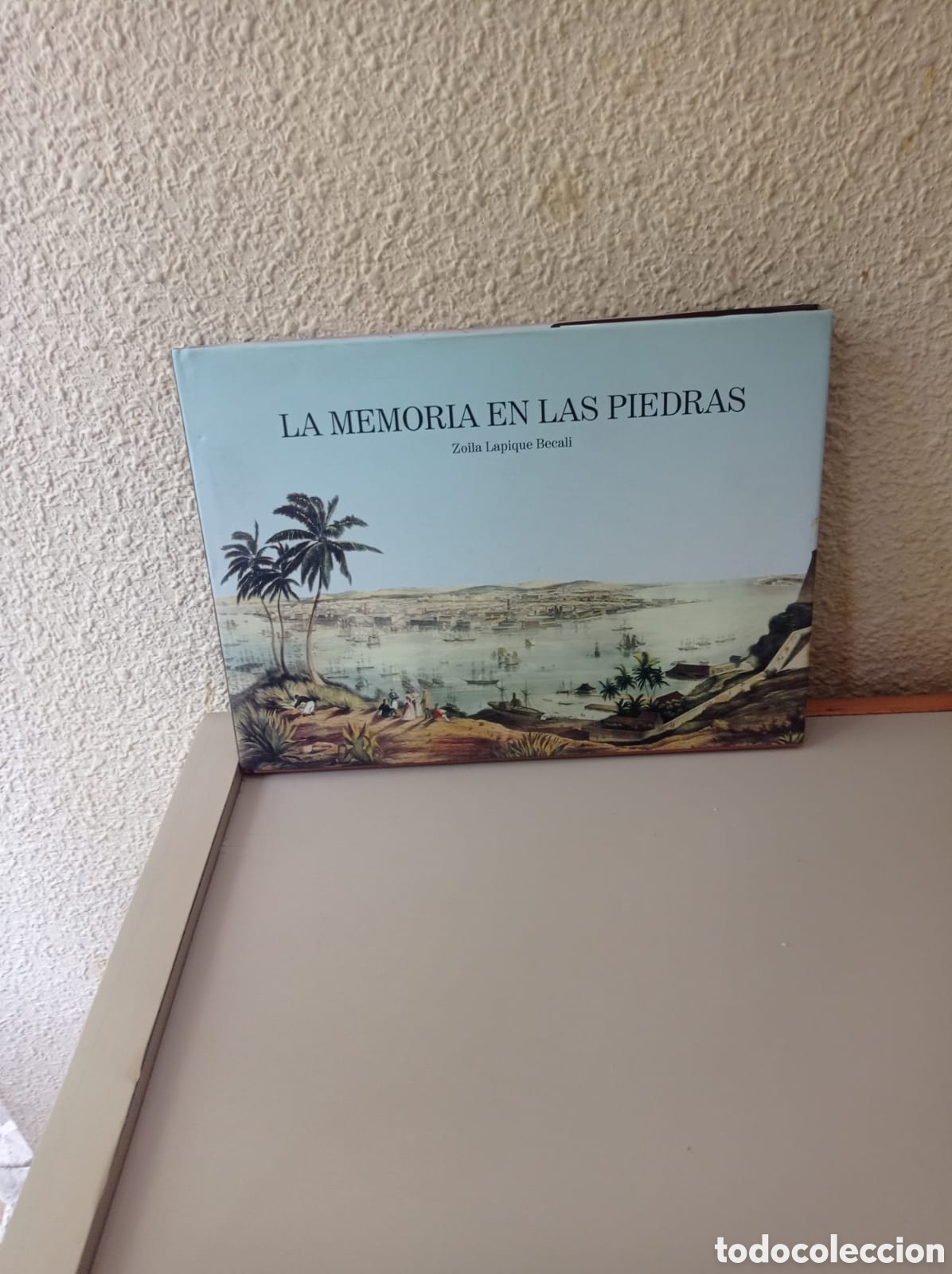 Libros: La memoria en las piedras
