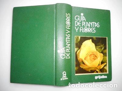 Livres: Gu&iacute;a de plantas y flores- 9788425305580