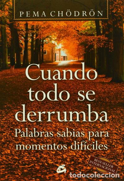 Libros: Cuando todo se derrumba- 9788488242884
