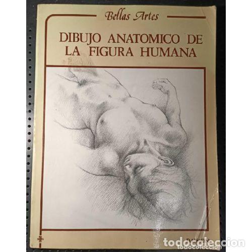 books: DIBUJO ANATOMICO DE LA FIGURA HUMANA - DAIMON