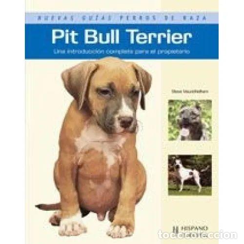 PIT BULL TERRIER - VISUDDHIDHAM, STEVE