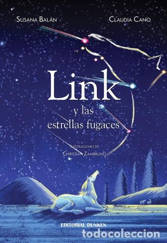 books: Link y las estrellas fugaces - Susana Bal&aacute;n - Susana Bal&aacute;n
