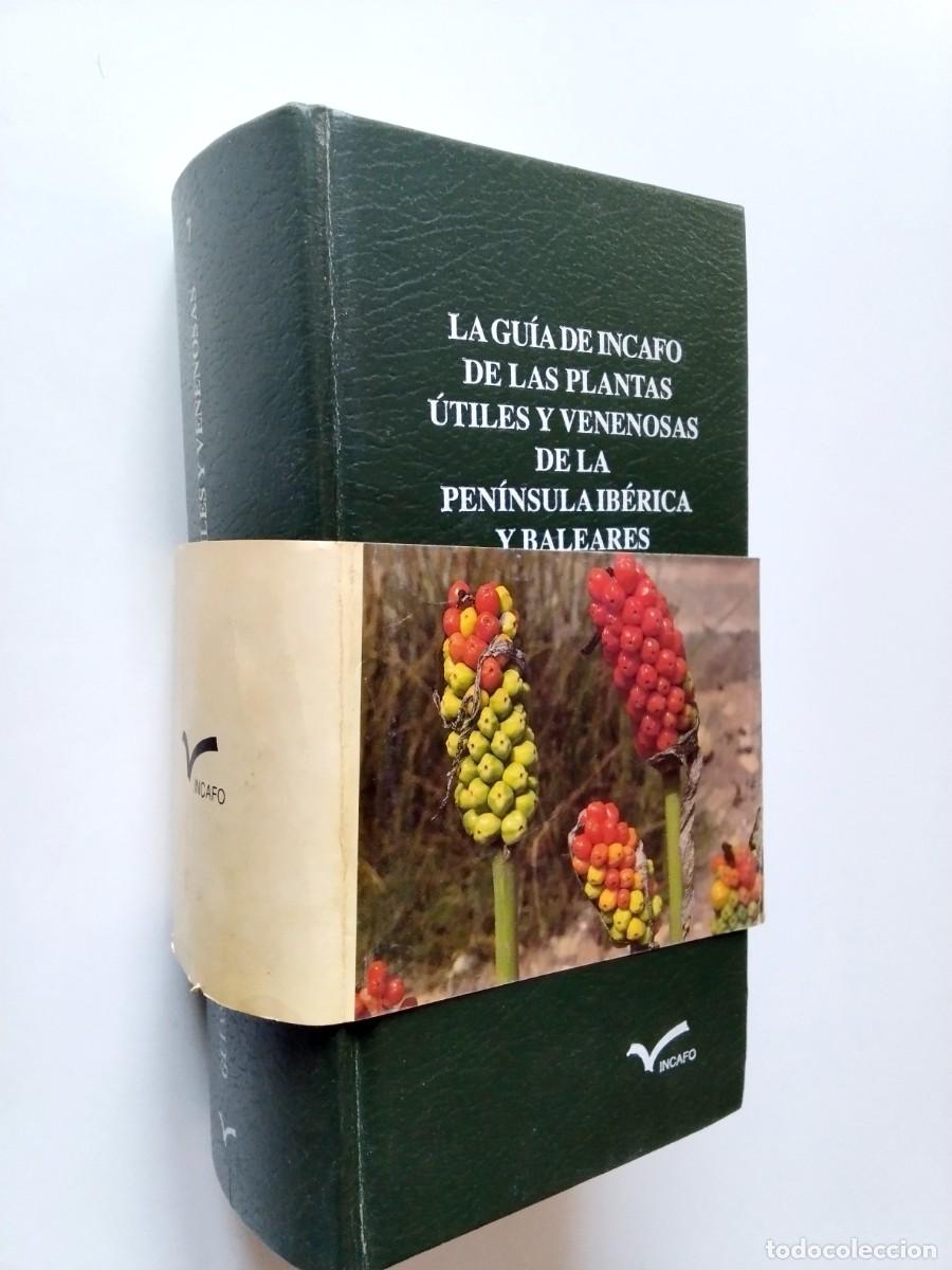 Livres: Diego Rivera N&uacute;&ntilde;ez - Concepci&oacute;n Ob&oacute;n de Castro - La gu&iacute;a de Incafo de las plantas &uacute;tiles y venenosas
