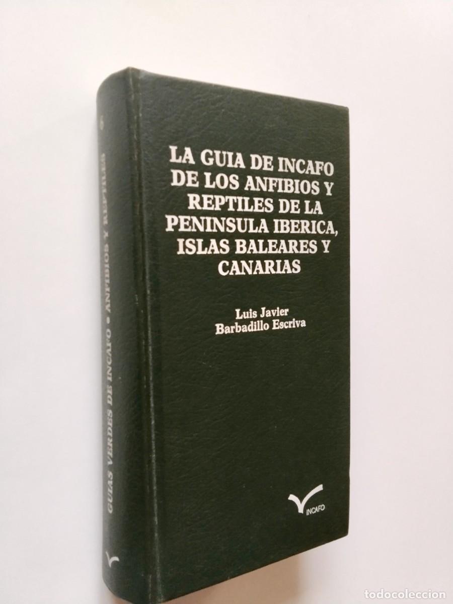 Livres: Luis Javier Barbadillo Escriv&aacute; - La gu&iacute;a de Incafo de los anfibios y reptiles de la Pen&iacute;nsula Ib&eacute;ric