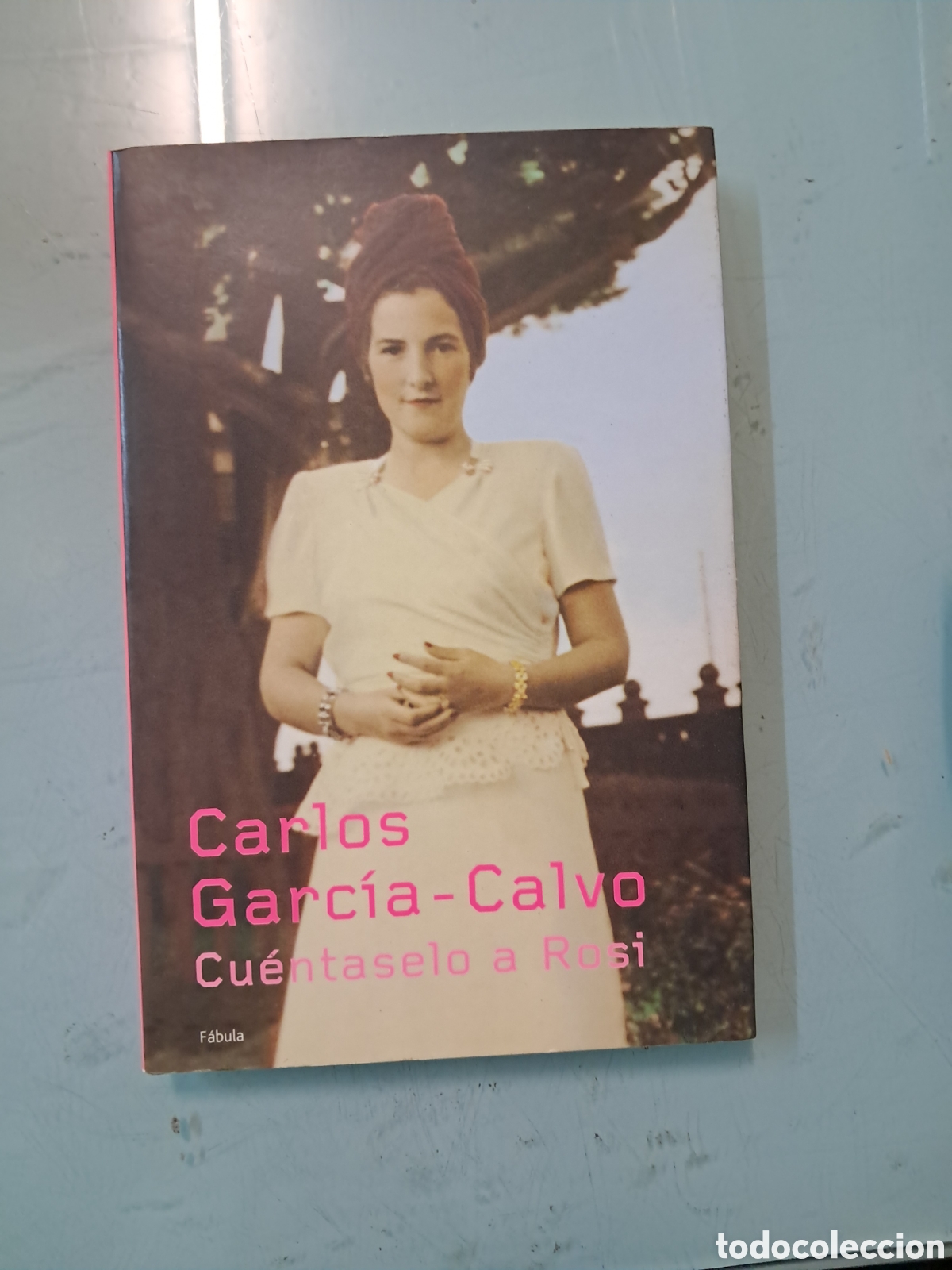 Libros: Carlos Garc&iacute;a Calvo, Cu&eacute;ntaselo a Rosi, fabula